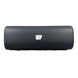 CG Sonos "ROAM" Speaker 